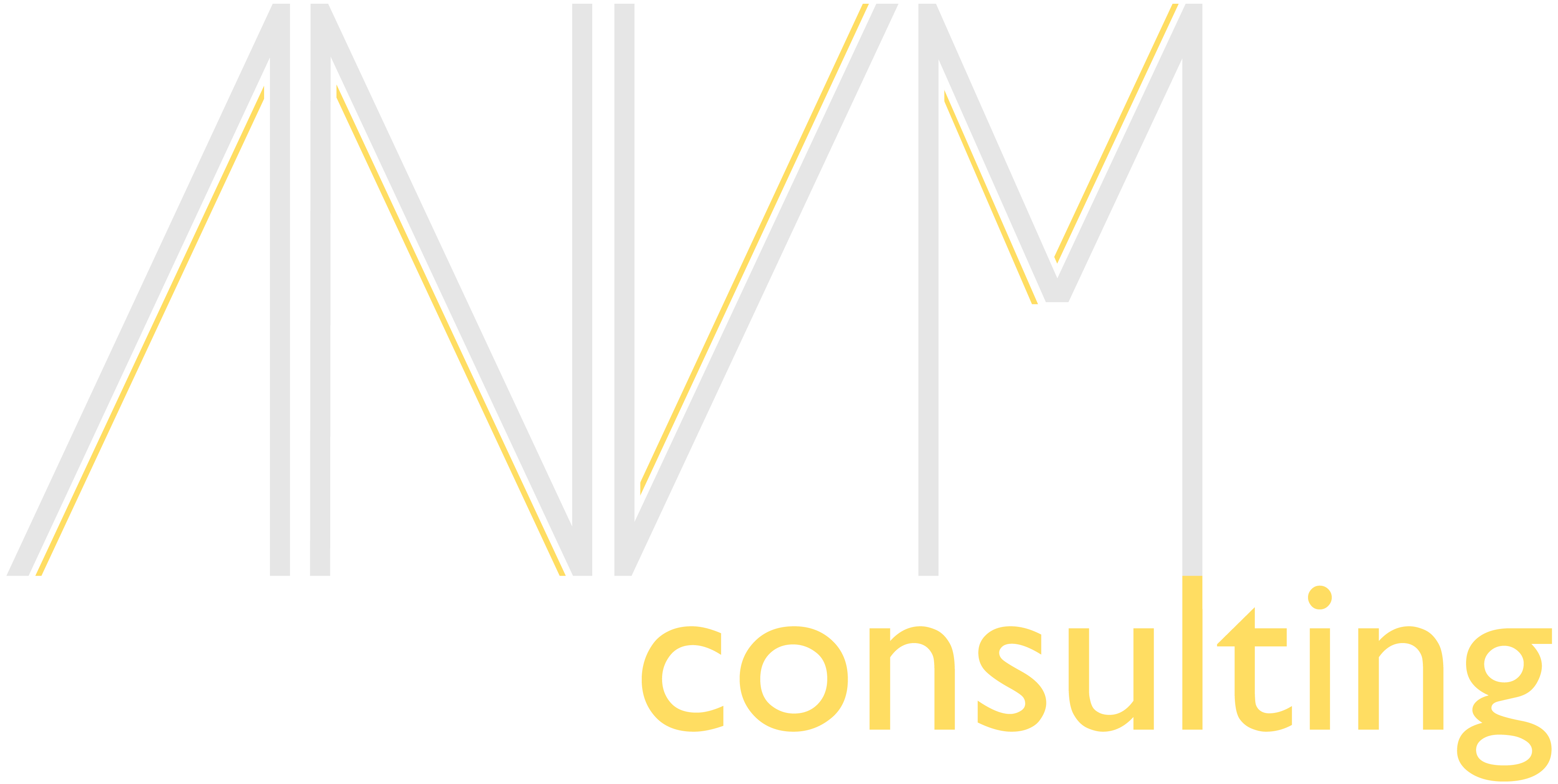 ANVM Consulting